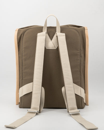 IKASI | brown olive